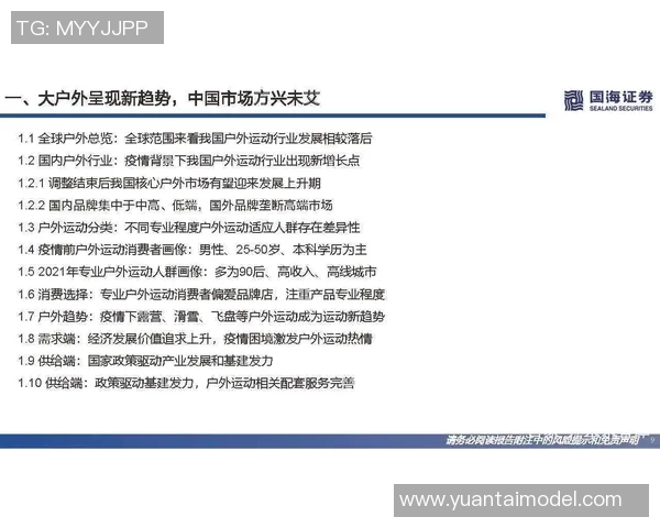武汉篮球队灵活性分析与战术调整的深度探讨与研究