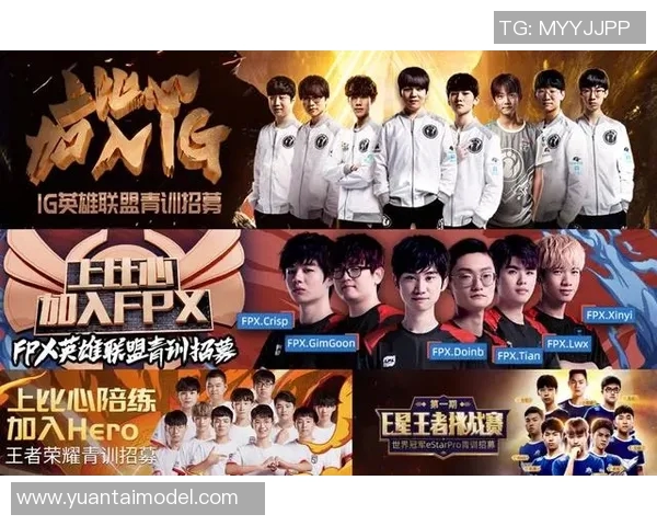 王者荣耀深度解析IG战队协作策略与团队默契的成功之道 王者荣耀深度解析IG战队协作策略与团队默契的成功之道