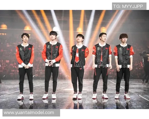 电竞实时数据职业联赛分析WE战队选手个人能力表现与团队协作的关系